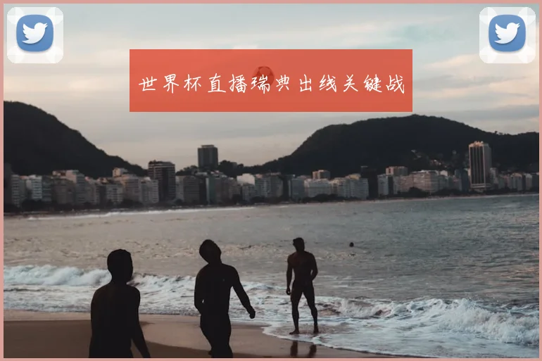 世界杯直播瑞典出线关键战