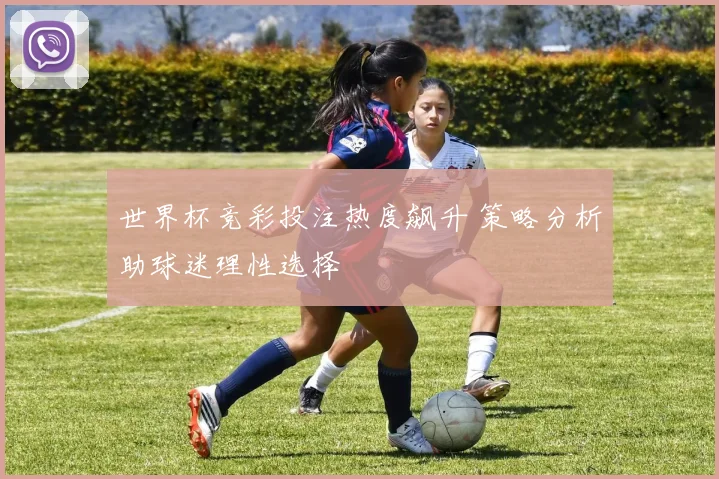 世界杯竞彩投注热度飙升 策略分析助球迷理性选择