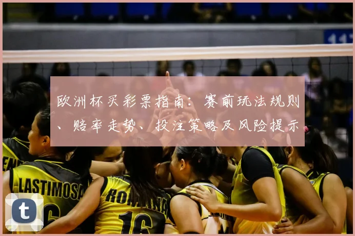 欧洲杯买彩票指南：赛前玩法规则、赔率走势、投注策略及风险提示