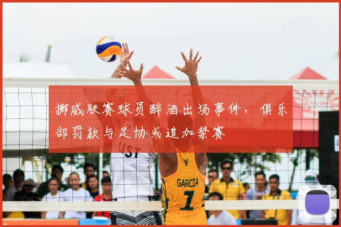 挪威联赛球员醉酒出场事件，俱乐部罚款与足协或追加禁赛