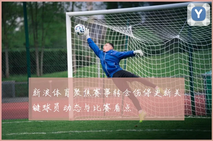 新浪体育聚焦赛事转会伤停更新关键球员动态与比赛看点