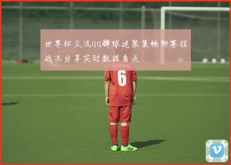 世界杯交流qq群球迷聚集畅聊赛程战况分享实时数据看点