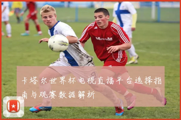 卡塔尔世界杯电视直播平台选择指南与观赛数据解析